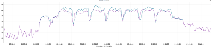 Allenamento di corsa a intervalli. Blu – Coros Pace 4, viola – Polar Verity Sense.