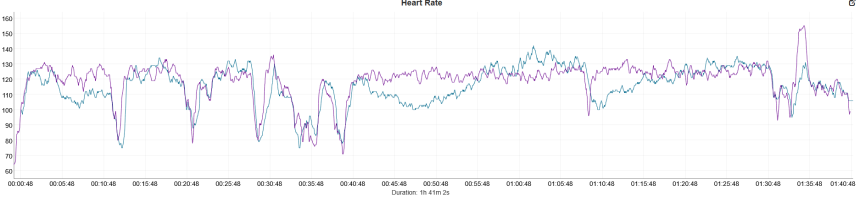 Nuoto. Blu – Coros Pace 4, viola – Polar Verity Sense.