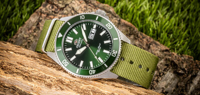 cinturino in nylon Ricardo Kronplatz, verde, NATO