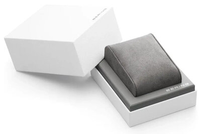 Bering Classic 17423-700