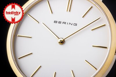 Bering Classic 14134-331