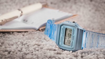 Casio Vintage F-91WS-2EF