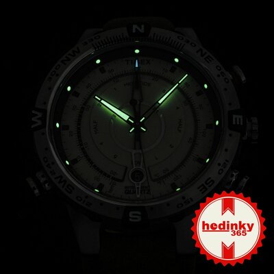 Timex Expedition T2N721UK