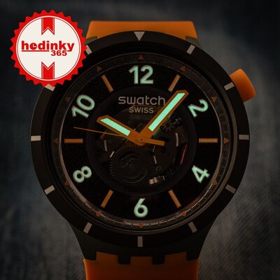 Swatch FALL-IAGE SB03G107